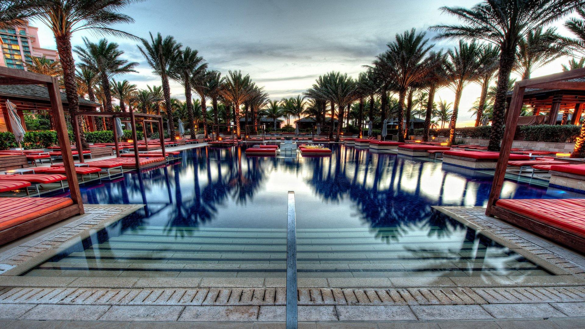 palm_trees_swimming_pool.jpg